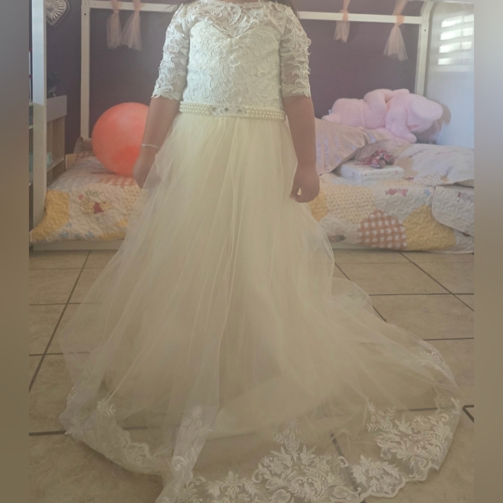 Elegant Lace and Tulle Dress
